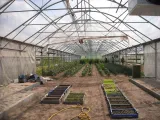 plandeka-4x8m-gruba-przezroczysta-zbrojona-wodoodporna-wzmacniana-plachta-producent-wdb