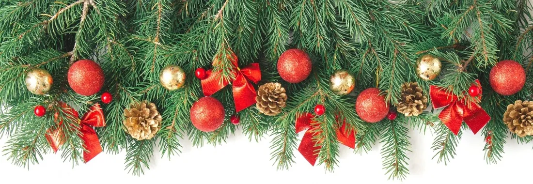 lampki-480-led-z-programatorem-multikolor-36m