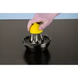 wyciskarka-do-cytrusow-lurch-kolor-szary