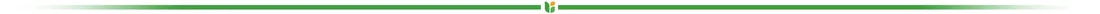 lampion-gardenplus-sznurek-45-cm