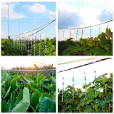 odstraszacz-na-ptaki-wedki-odblaskowe-9-sztuk-odstraszacz-golebie-szpaki-rodzaj-odstraszacz