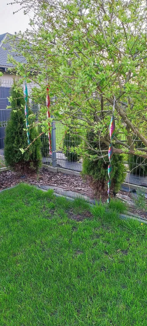 odstraszacz-przeciwko-ptakom