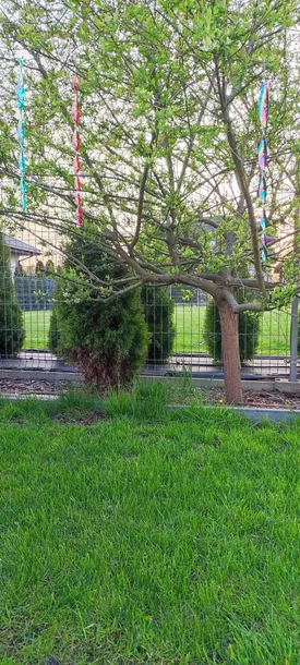 odstraszacz-na-ptaki-wedki-odblaskowe-9-sztuk-odstraszacz-golebie-szpaki-rodzaj-odstraszacz-kod-producenta-5234637jyh