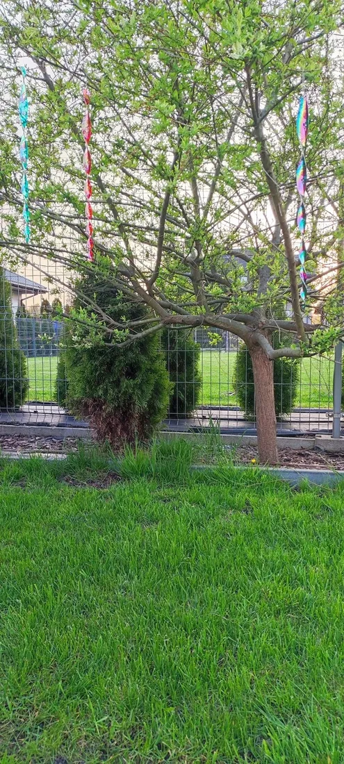 odstraszacz-na-ptaki-wedki-odblaskowe-9-sztuk-odstraszacz-golebie-szpaki-rodzaj-odstraszacz