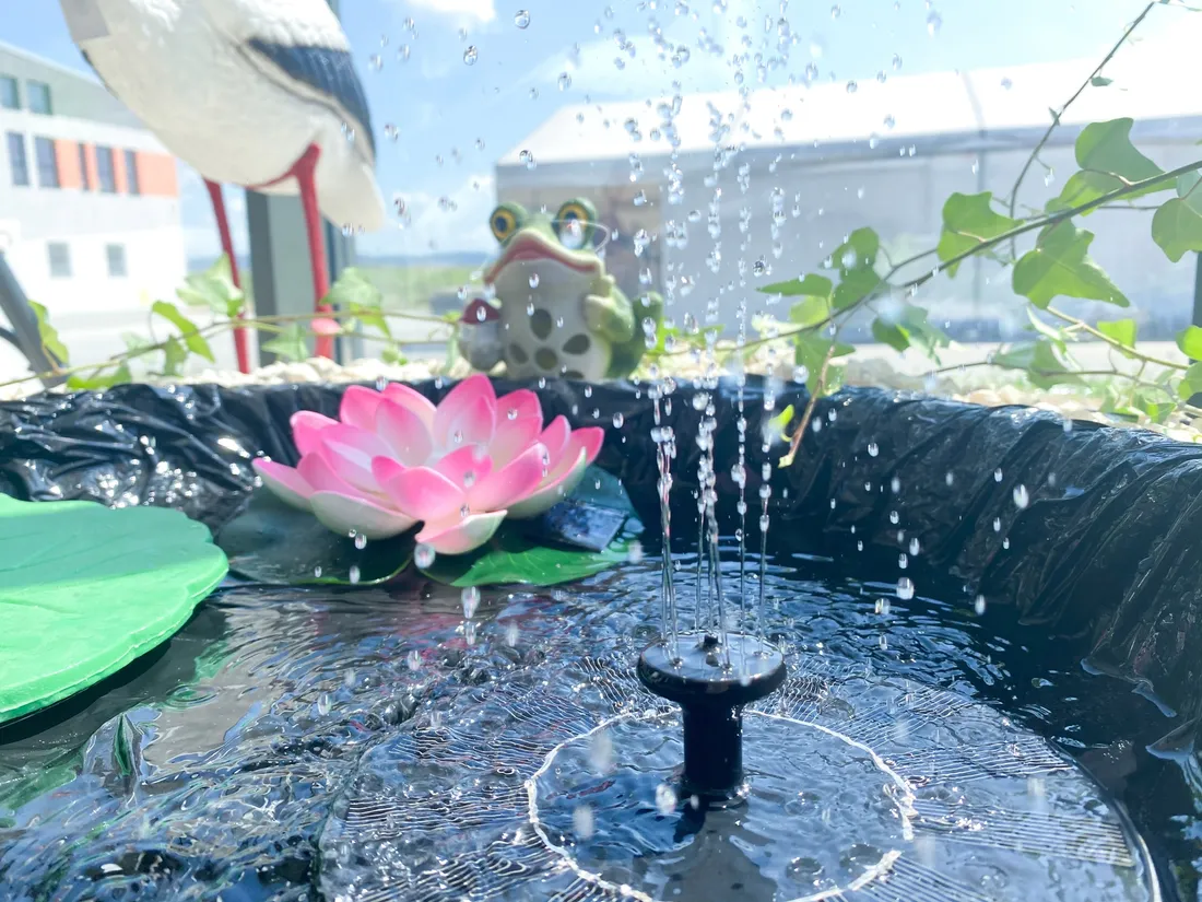 fontanna-solarna-chomik