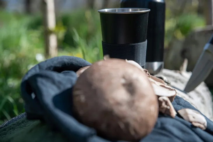 butelka-sagaform-500-ml-pojemnosc-500-ml