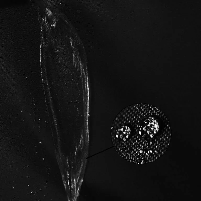 pawilon-instent-3-x-3-x-1m-liczba-scianek-bocznych-brak