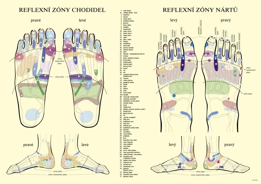 mata-masujaca-movit-m40595-waga-z-opakowaniem-1-4-kg