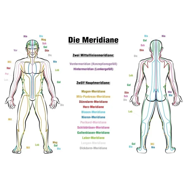 mata-masujaca-movit-m40595-model-m40595