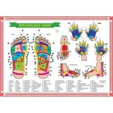 mata-masujaca-movit-m40595-kolor-szary