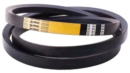 pas-klasyczny-bizon-20x125-3010