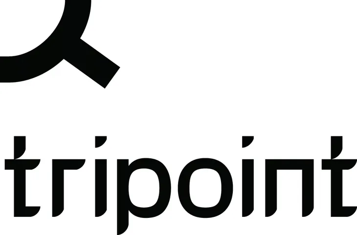 gogle-narciarskie-tripoint-mount-roraima-niebieski-marka-tripoint