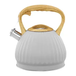 czajnik-tradycyjny-stalowy-ambition-25-l-szary