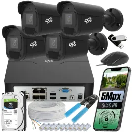 zestaw-kamer-do-monitoringu-dvs-4-kamery-ip-poe-8-mpx-ip67-1-tb