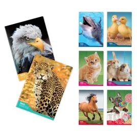 zeszyty-edukacyjne-zestaw-6-sztuk-72-strony-papier-100g-do-dysgrafii