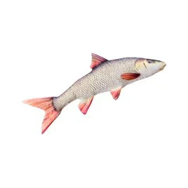 maskotka-gaby-ryba-brzana-80-cm