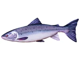 losos-salmo-salar-poduszka-maskotka-ryba-90-cm