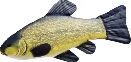 maskotka-ryba-gaby-lin-62-cm