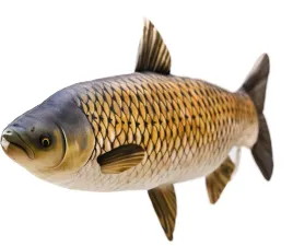 gaby-ryba-zabawka-poduszka-amur-giant-105cm
