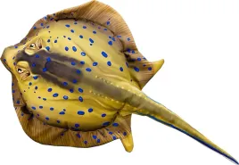 maskotka-poduszka-gaby-ogoncza-nakrapiana-85-cm