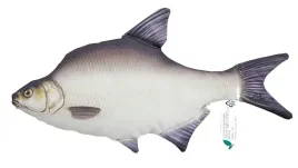 maskotka-gaby-leszcz-65-cm