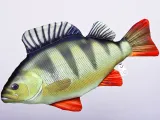 poduszka-maskotka-pluszak-gaby-ryba-karp-61cm-wiek-dziecka-2-lata