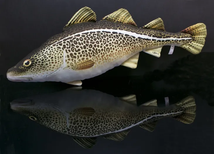 poduszka-maskotka-pluszak-gaby-ryba-karp-61cm-waga-z-opakowaniem-0-5-kg