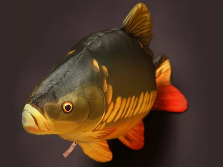 poduszka-maskotka-pluszak-gaby-ryba-karp-61cm-glebokosc-produktu-0-cm