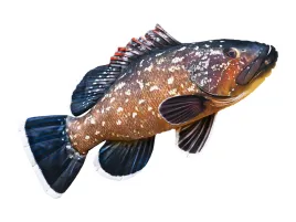 poduszka-ryba-gaby-maskotka-pluszak-granik-95cm