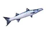 maskotka-ryba-gaby-barrakuda-110-cm