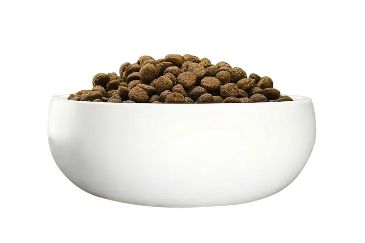 josera-green-petfood-dog-sensitive-w-insects-and-rice-10kg-karmy-specjalne-dla-psow-z-nadwrazliwoscia-pokarmowa