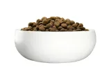 josera-green-petfood-dog-sensitive-w-insects-and-rice-10kg-karmy-specjalne-dla-psow-z-nadwrazliwoscia-pokarmowa