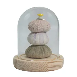 swietlisty-ogrod-led-3-jezowce-pod-szklana-kopula-usb-designerska-lampka