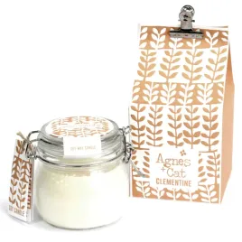 swieca-sojowa-400g-w-sloiku-i-pudelku-upominkowym-clementine-agnes-and-cat