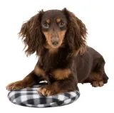 trixie-poduszka-grzewcza-do-mikrofalowki-o-26-cm-czarno-biala-marka-trixie