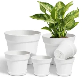 doniczki-plastikowe-z-podstawka-6-sztuk-okragle-na-ziola-kaktusy-sukulenty