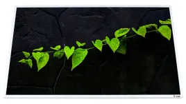 matryca-led-tn-blyszczaca-156-1366-x-768-cmd-cmd-000002792