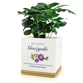 doniczka-ceramiczna-na-kwiaty-prezent-z-nadrukiem-na-dzien-babci