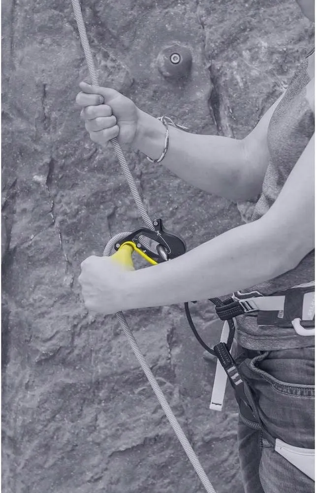 system-asekuracyjny-salewa-ergo