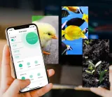 termostat-rtx-tuya-wifi-seria-tuya-wifi