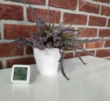 rtx-czujnik-temperatury-wilgotnosci-tuya-zigbee-lcd-waga-z-opakowaniem-0-35-kg