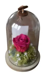 las-w-sloiku-gotowa-kompozycja-21-cm