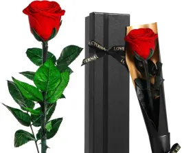 roza-wieczna-z-lodyga-zakonserwowana-czerwona-walentynki