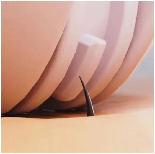 depilator-panasonic-es-ef10-v503-sposob-depilacji-pesety