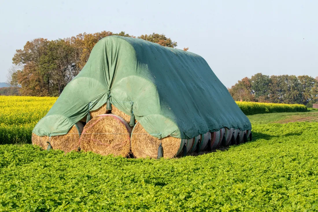 plandeka-85-g-m2-10-x-6m