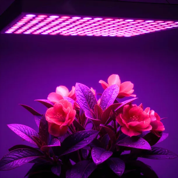 panel-lampa-wiszaca-do-wzrostu-roslin-uprawy-warzyw-36w-slim-mocna-225led-strumien-swietlny-2000-lm