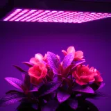 panel-lampa-wiszaca-do-wzrostu-roslin-uprawy-warzyw-36w-slim-mocna-225led-strumien-swietlny-2000-lm