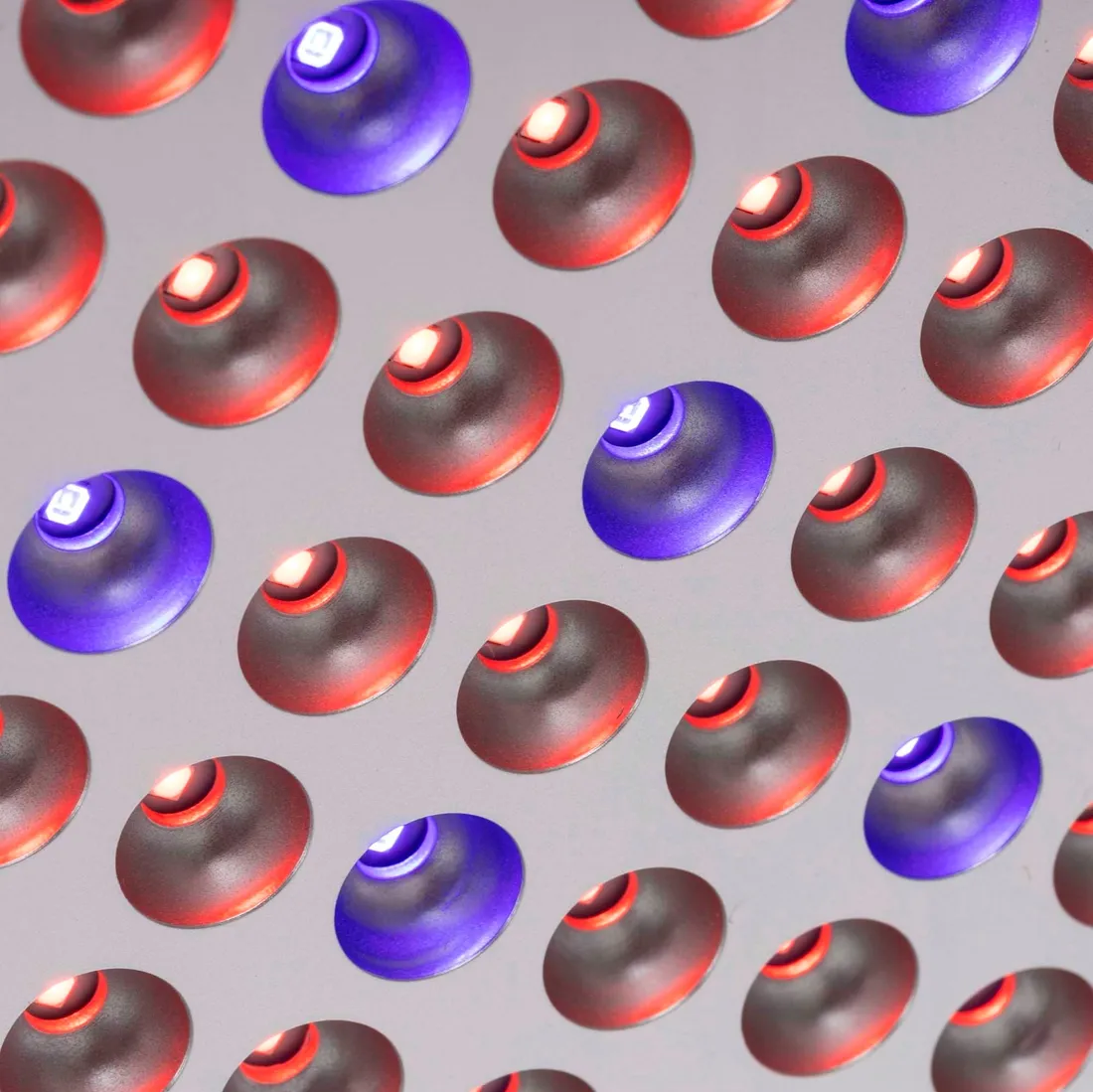 panel-led-grow-do-uprawy-roslin-springos-36-w