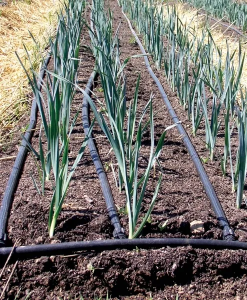 kalibrator-unidelta-800005-maksymalna-srednica-rury-63-mm