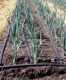 kalibrator-unidelta-800005-maksymalna-srednica-rury-63-mm